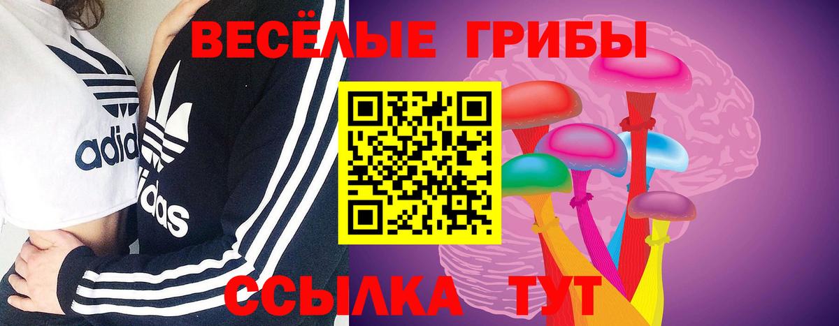 Минусинск  Псилоцибиновые грибы мухоморы  Вход с VPN 