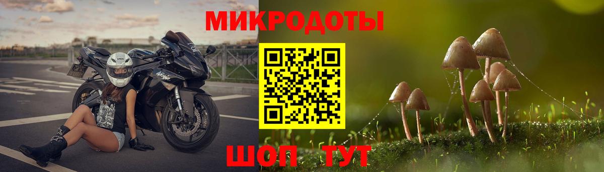 Псилоцибиновые грибы GOLDEN TEACHER Минусинск